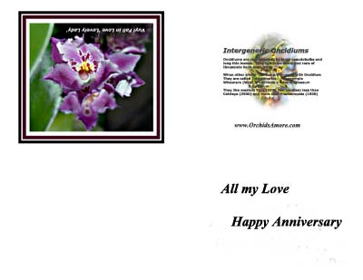 Anniversary Card - Fall In Love
