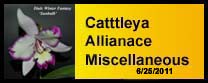 Cattleya alliance gallery