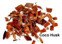 Coco Husk Orchid medium