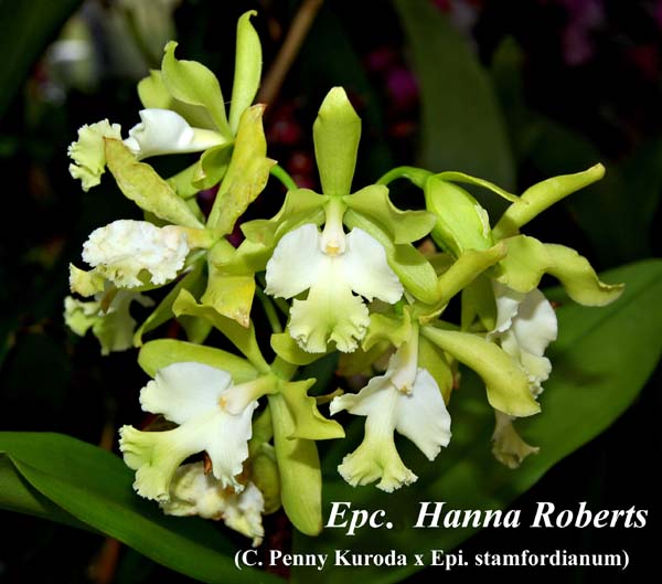 Epcl. Hanna Roberts_6117
