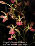 Catyclia Terese de Hasbun_9655