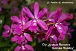 Cty. Joseph Romans _4355