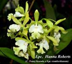 Epcl. Hanna Roberts_6117