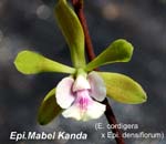 Epi. Mabel Kanda _6562
