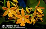 Ett. Volcano Trick_2247
