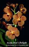 Ascda. Bens Delight_9841