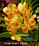 Ascda. Grace Sharp_0410