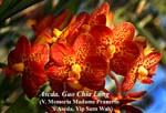 Ascda. Guo Chia Long _7732