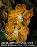 Ascda. Katherine Haltos_9665