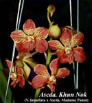 Ascda. Khun Nok_4984