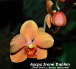 Ascps. Irene Dubkin_8621