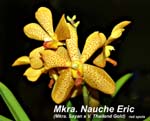 Mkra. Nauche Eric_3400