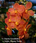 V. Charles Goodfellow x Ascda Muang Thong_3342