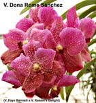 V. Dona Roma Sanchez_4572