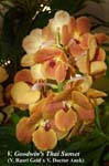 V. Goodwin's Thai Sunset_5472