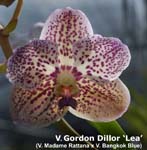 V. Gordon Dillor__ Lea_8153