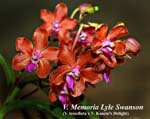 V. Memoria Lyle Swanson_7309