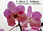 V. Mevr. L. Velthuis_7966