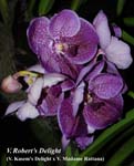 V. Roberts Delight_9685