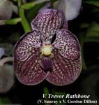 V. Trevor Rathbone_9687