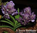 V. Trevor Rathbone_9979