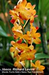 Vasco. Richard Levine (Ascda. Fuchs Gold x Vasco. Five Friendships)_0588