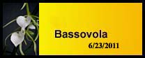 Bassovola gallery 